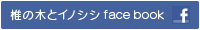 椎の木とイノシシ・フェイスブック